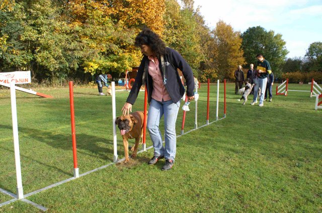 agility 2011-10-30